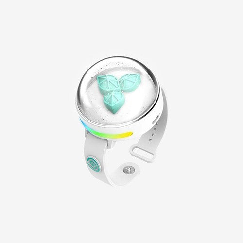 DAY6 Official Light Band Ver.3 product view